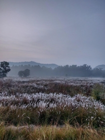Beautiful winter morning Bandhavgarh India 