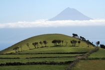 Beauty and simplicity Azorean Archipelago landscape Sao Jorge Island 