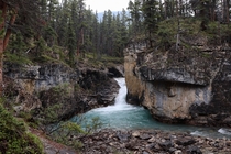 Beauty Creek Jasper National Park Alberta Canada 