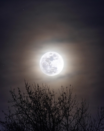 Beaver Moon Full Moon of November th