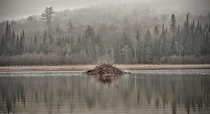 Beaver Pond Muskoka Ontario Canada OC  x 