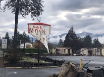 Beechie Creek fire damage in Gates Oregon