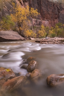 Before The Narrows in Zion NP OC x