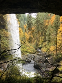 Behind the North Falls  Silver Falls State Park Oregon   x 