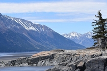 Beluga Point Anchorage Alaska - x OC