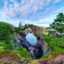 Berry Hill Sea Arch East Coast Trail - Spurwink Island Path Newfoundland Canada  