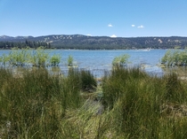 Big Bear Lake CA 