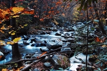 Big Creek Great Smoky Mountain National Park NC  