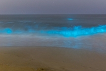 Bioluminescence in Newport Beach California last night 