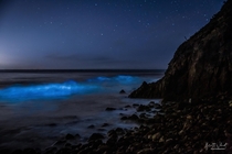 Bioluminescent Waves in Malibu  x see more modestpioneer