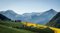 Bissen - Saanen Switzerland 