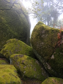 Bizarre spooky place in the morning mist Boulders on Monte de Santa Catarina Penha Guimares Portugal x 