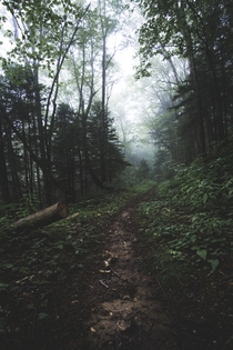 Black Mountain NC - Foggy Trail 