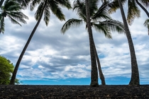 Black sand beach on the Big Island Hawaii 