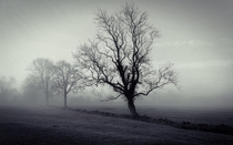 Bleak Winter Northamptonshire UK 