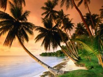 Blue Lagoon Beach Micronesia 