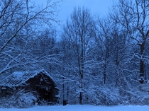 Blue morning in Michigan USA after a snowstorm - no filters repost with proper title