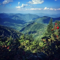 Blue Ridge Mountains NC  OC  x 