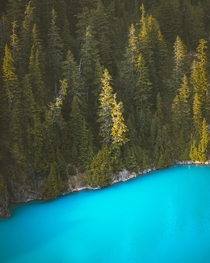 Bluest water Ive ever seen The color is from the rock flour floating in the lake a fine grained sediment caused by glacial erosion Washington 