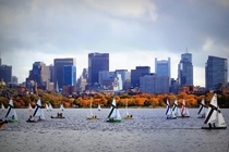 Boats on the Charles River - Boston MA 