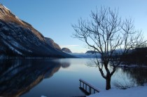 Bohinj Lake in Slovenia 