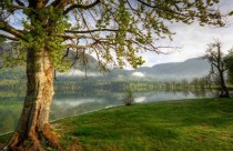 Bohinj lake Slovenia 