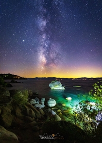Bonsai Nights  Lake Tahoe