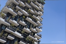 Bosco Verticale Stefano Boeri a m amp m residential tower complex with  trees on the balconies 