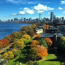 Boston USA autumn colors x-post 
