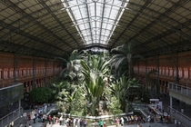 Botanical concourse of the Atocha Railway Station in Madrid 