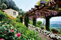 Botanical garden in italy