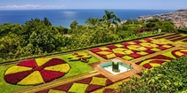 Botanical garden in Madeira Portugal