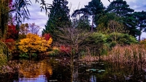 Botanical Gardens Cambridge England  - IG mmdfadl