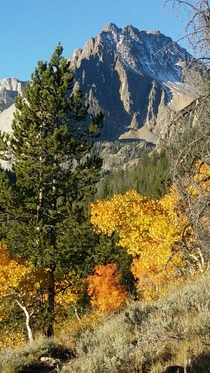 Boulder Creek Pass Idaho x OC