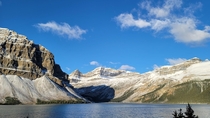 Bow Lake Jasper National Park 