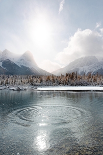 Bow River Canmore OC x