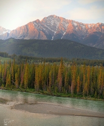 Bow Valley Sunset Bannf National Park Alberta 