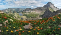 Breathtaking photo of a mountain range with flowers blooming Somewhere in Russia Photo by Alex Klekovkin 
