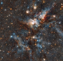 Breathtaking stellar nursery in Carina nebula 