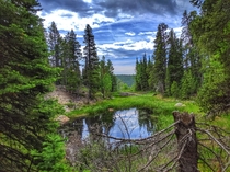 Breathtaking views while on UTV trails in Estes Park Colorado US 