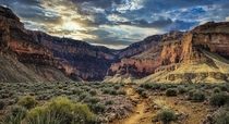Bright Angel Trail in the Grand Canyon  OC