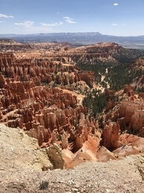 Bryce Canyon During Summer 