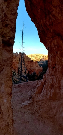 Bryce Canyon National Park UT  x