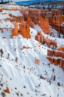 Bryce Canyon National Park Utah January   IG cwaynephotography