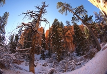 Bryce Canyon National Park Utah - November  OC x