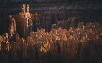 Bryce Canyon USA 