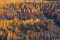 Bryce Canyon - UT 
