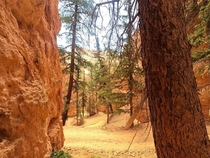 Bryce Canyon Utah OC x