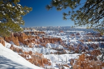 Bryce Canyon Utah USA 