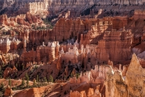 Bryce Canyon - Utah USA 
